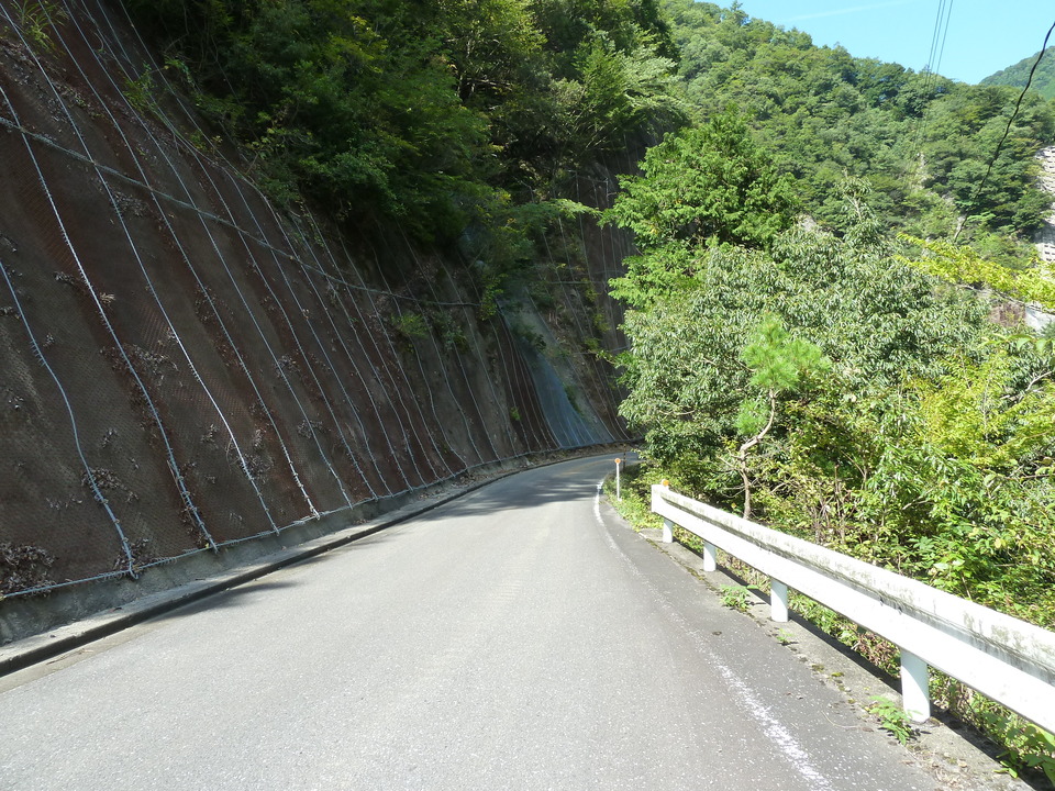 P1080479_mid.jpg
