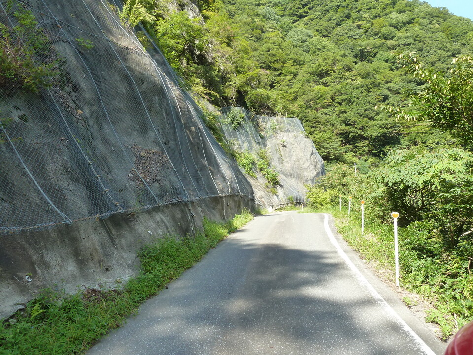 P1080485_mid.jpg