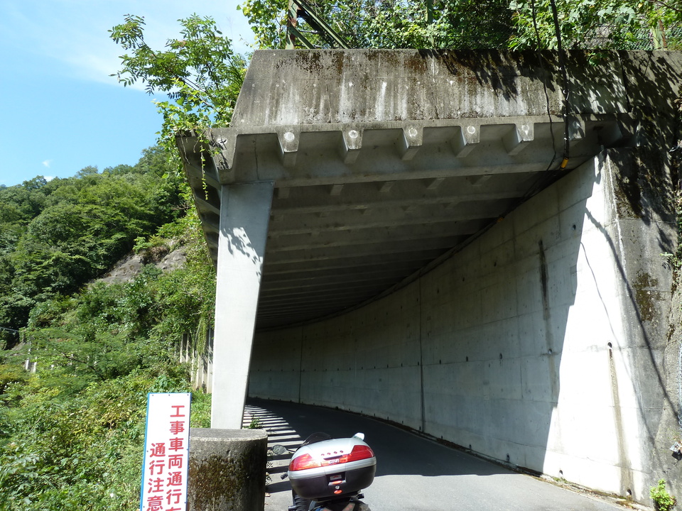 P1080488_mid.jpg