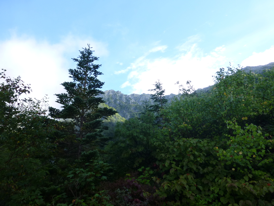 P1080075_mid.jpg