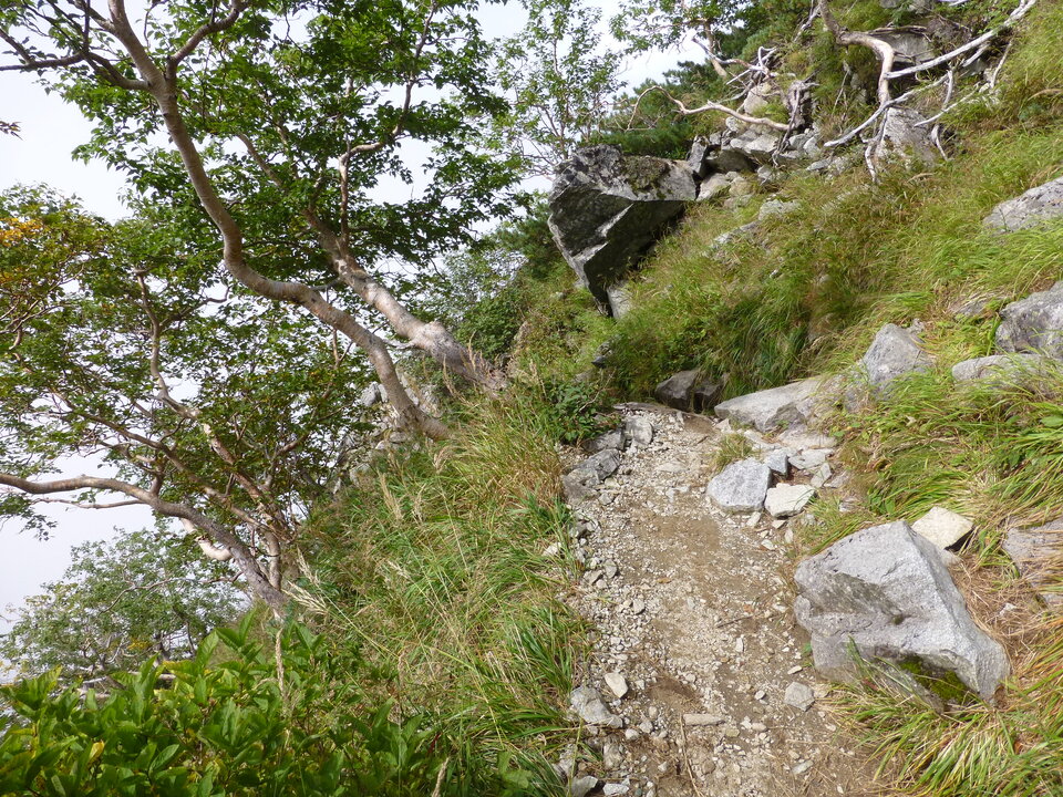 P1080124_mid.jpg