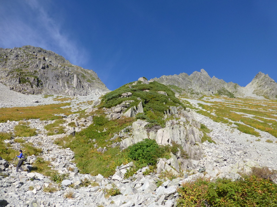 P1080497_mid.jpg