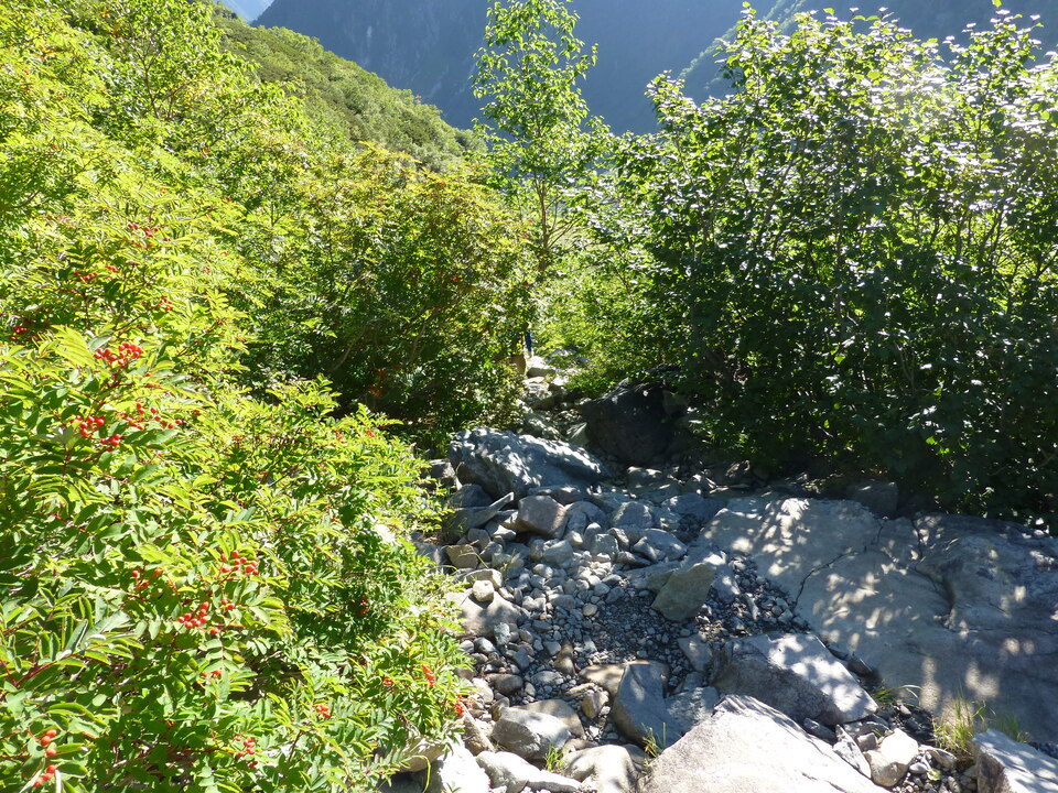 P1080523_mid.jpg