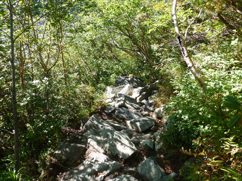 P1080530_mid.jpg