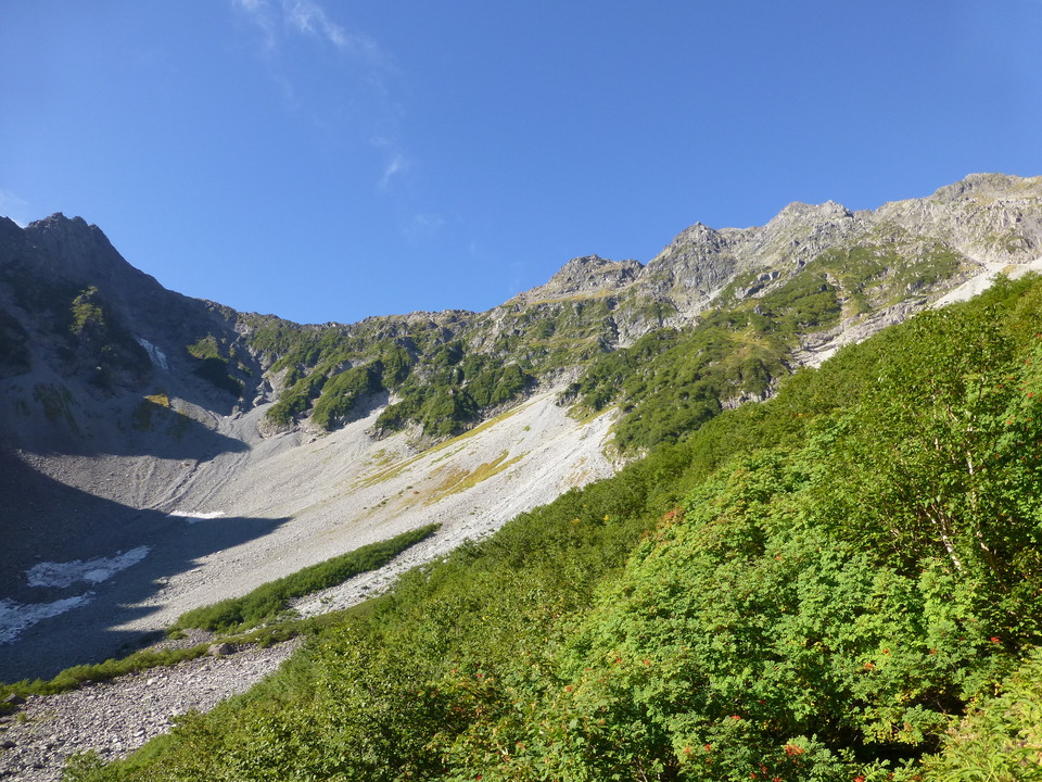 P1080534_mid.jpg