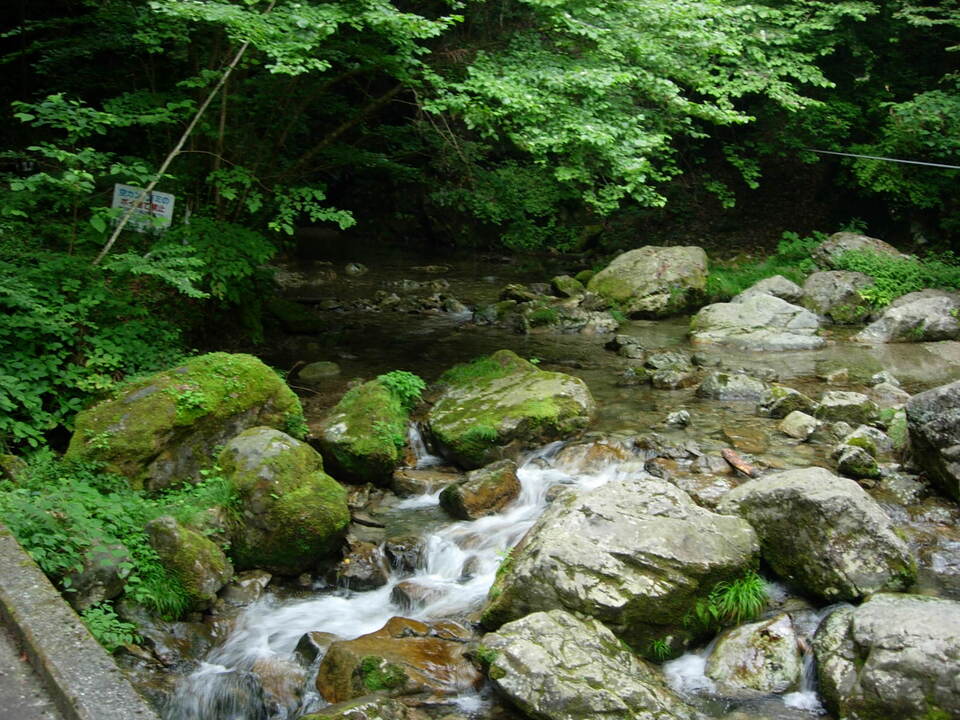 DSCN3829_mid.jpg