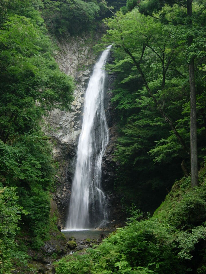 DSCN3831_mid.jpg
