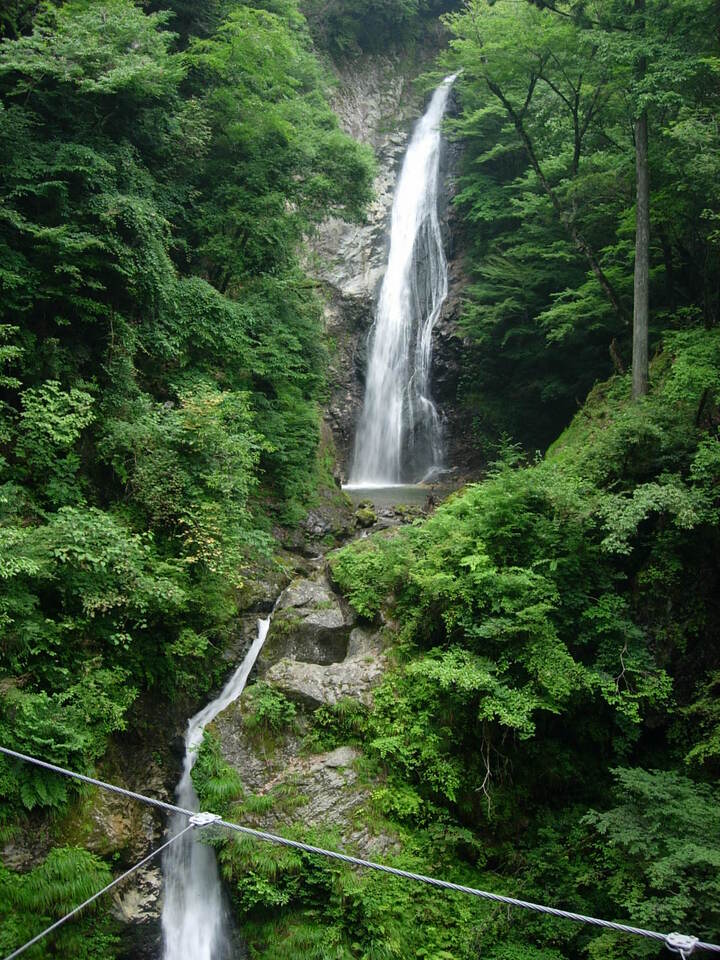DSCN3836_mid.jpg