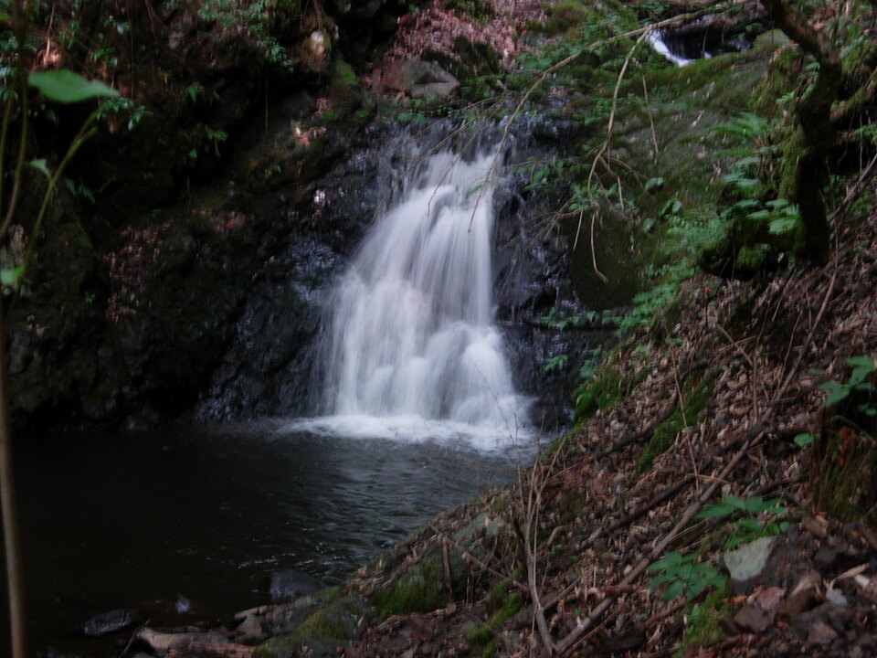 DSCN3843_mid.jpg