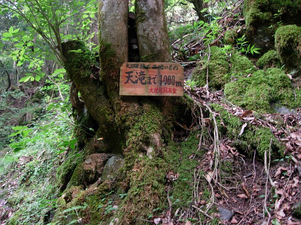 DSCN3846_mid.jpg