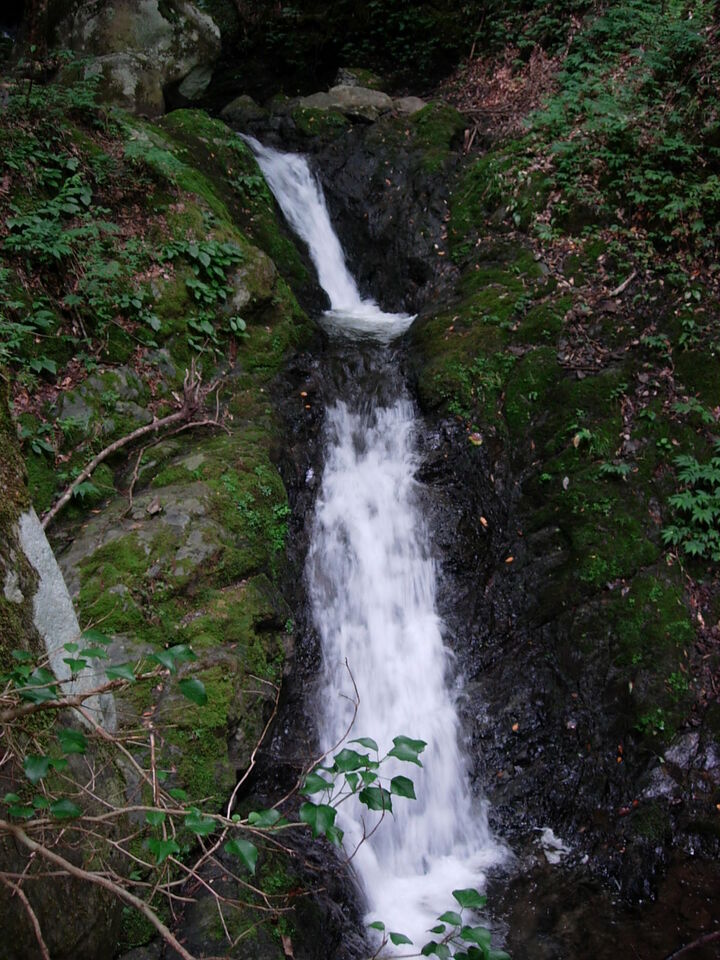 DSCN3851_mid.jpg