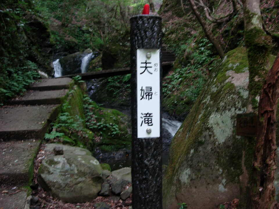 DSCN3852_mid.jpg
