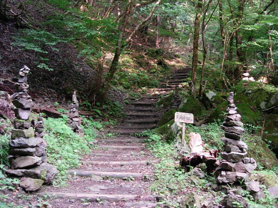 DSCN3854_mid.jpg