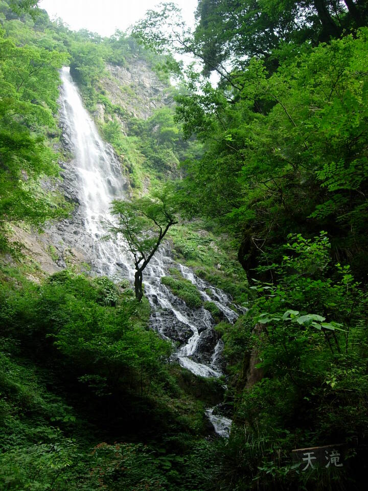 DSCN3870_mid.jpg