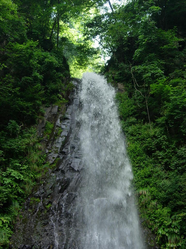 DSCN3883_mid.jpg