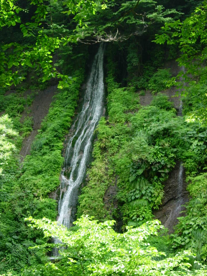 DSCN3887_mid.jpg