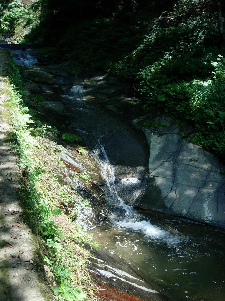 DSCN3892_mid.jpg