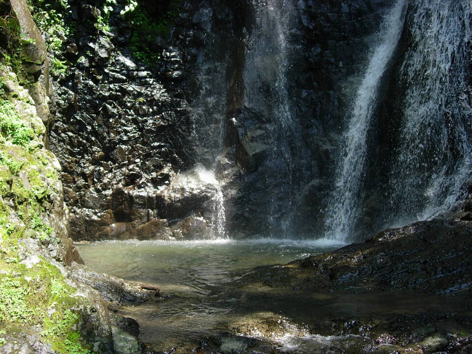 DSCN3907_mid.jpg