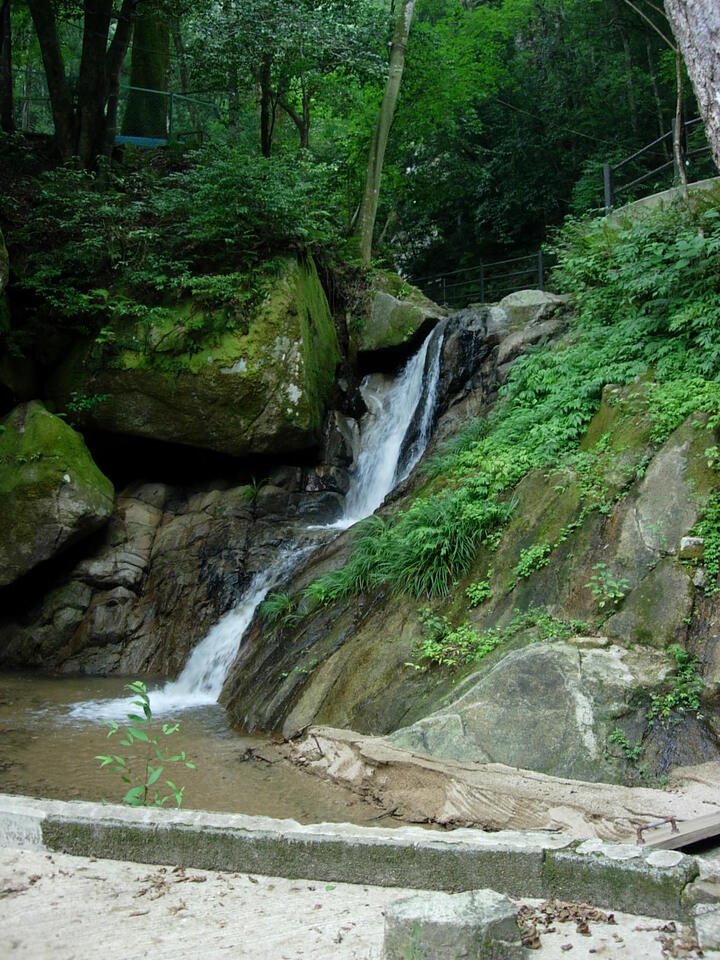 DSCN3915_mid.jpg