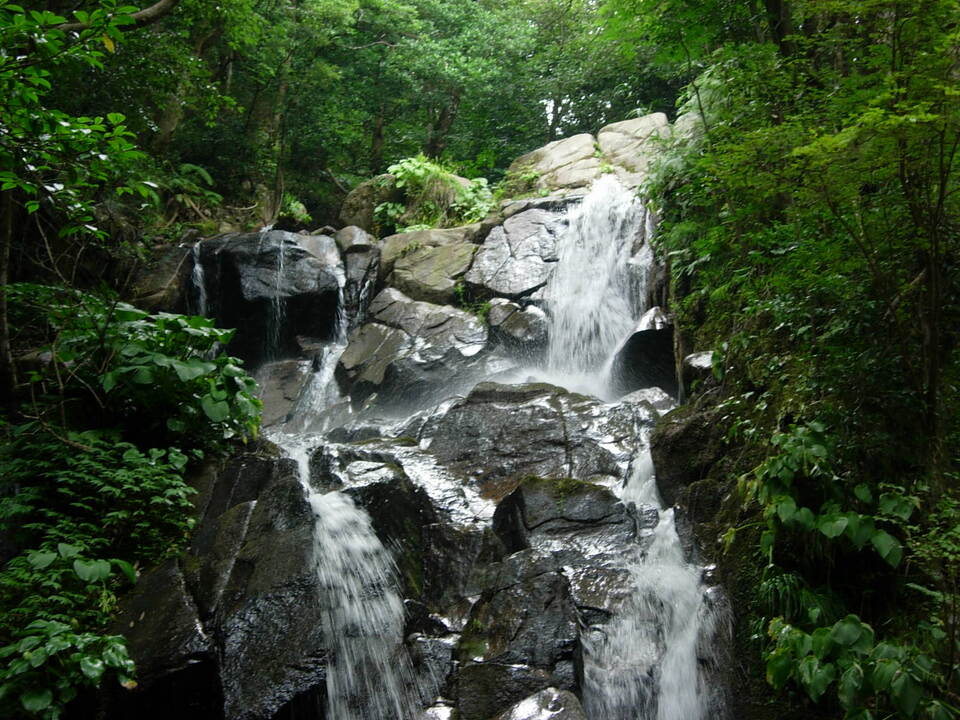 DSCN3920_mid.jpg