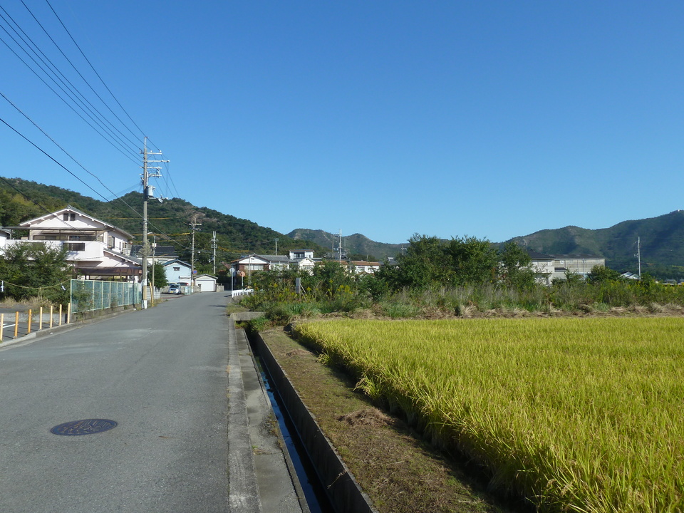P1170962_mid.jpg