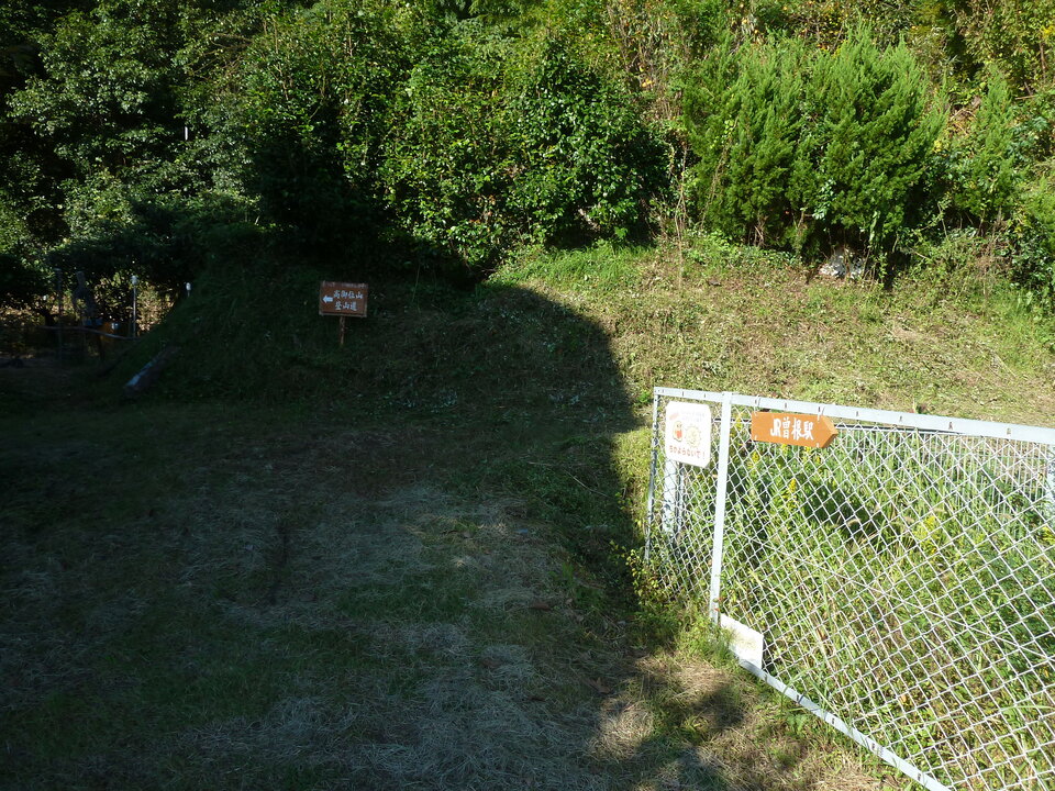 P1170971_mid.jpg