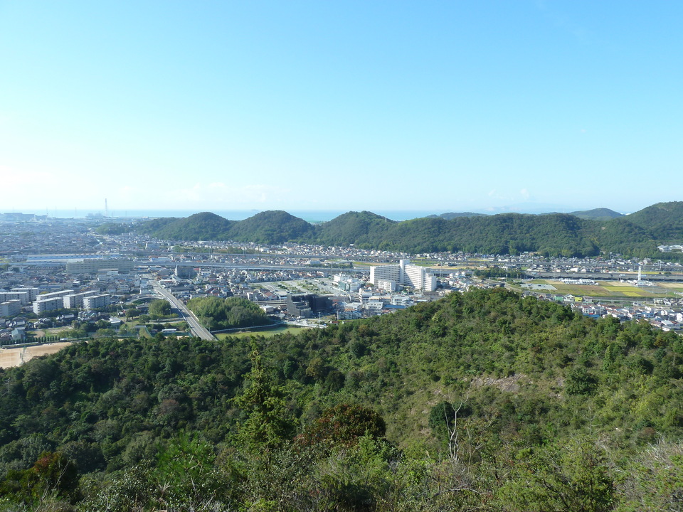 P1170987_mid.jpg