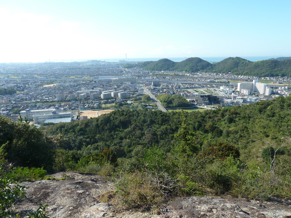P1170989_mid.jpg