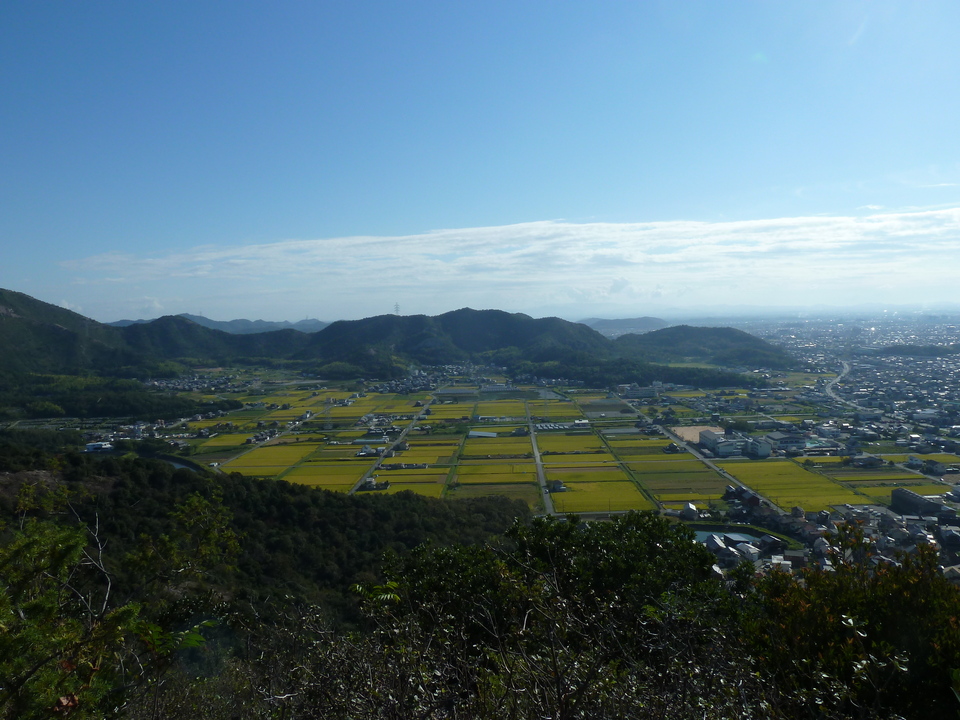 P1170999_mid.jpg