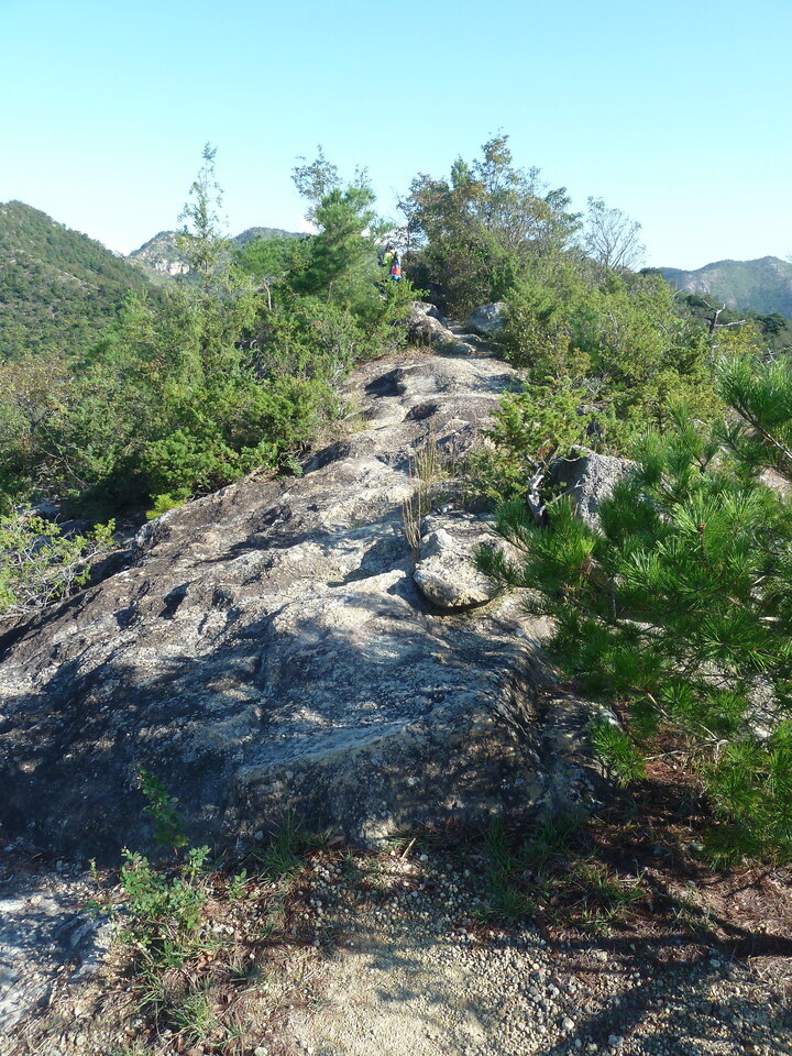 P1180013_mid.jpg