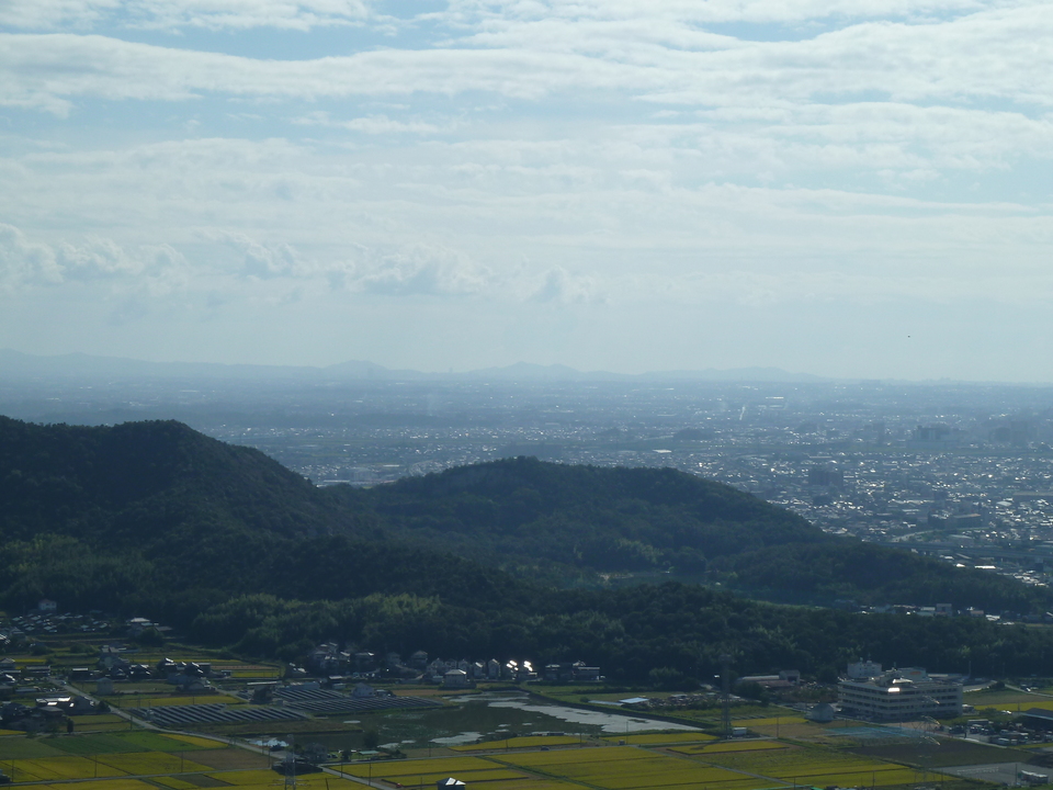 P1180042_mid.jpg