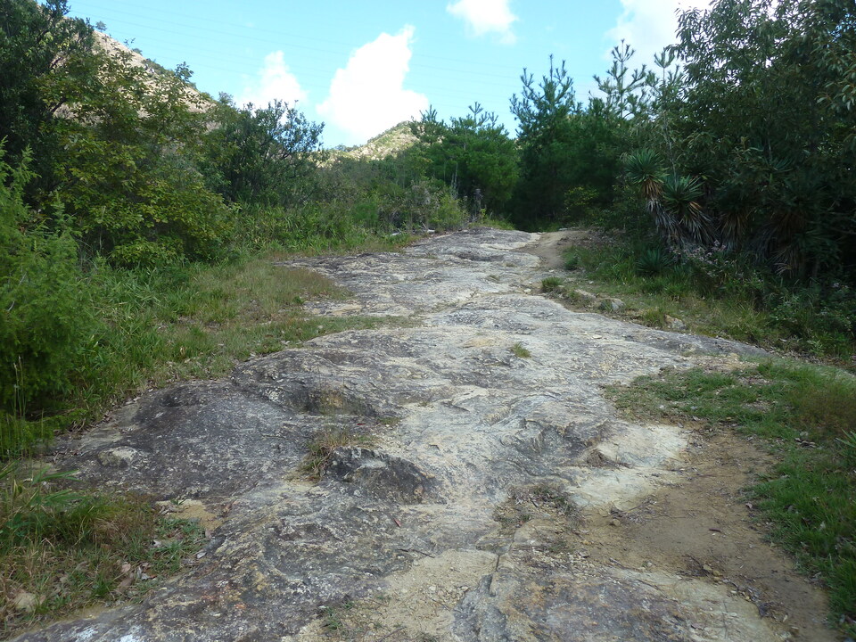 P1180058_mid.jpg