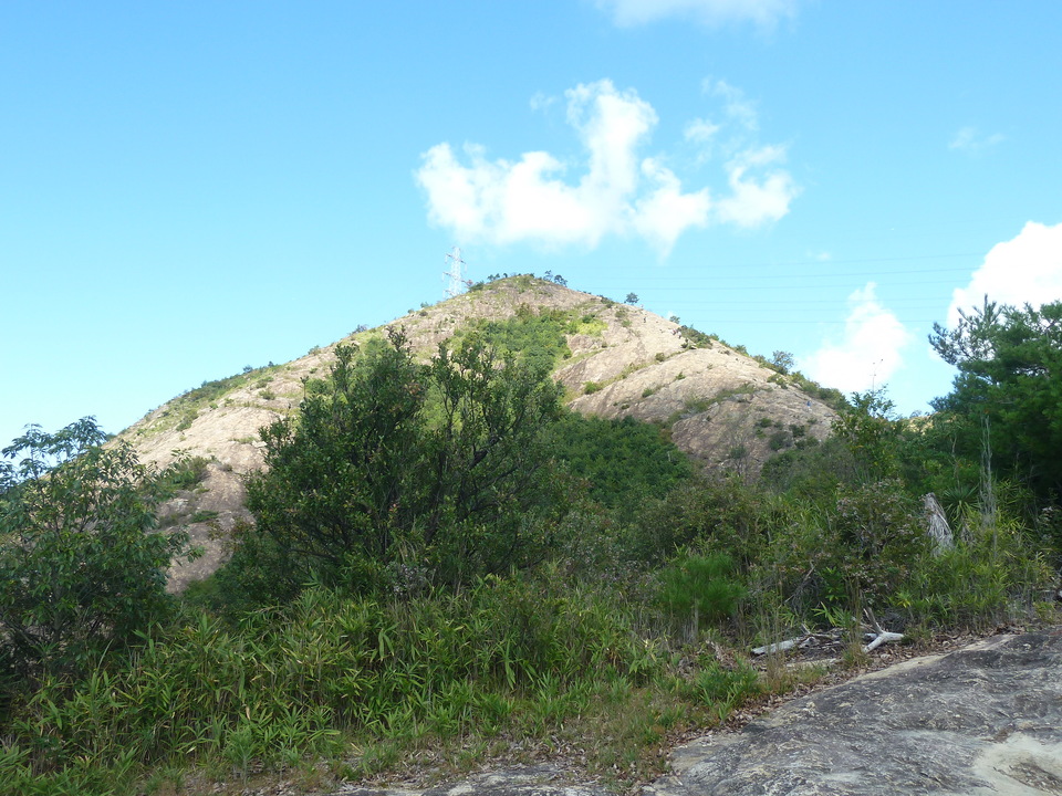 P1180060_mid.jpg