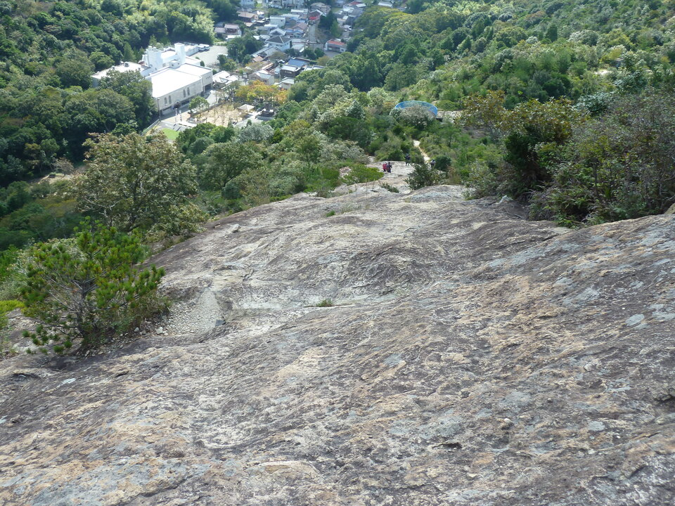 P1180072_mid.jpg