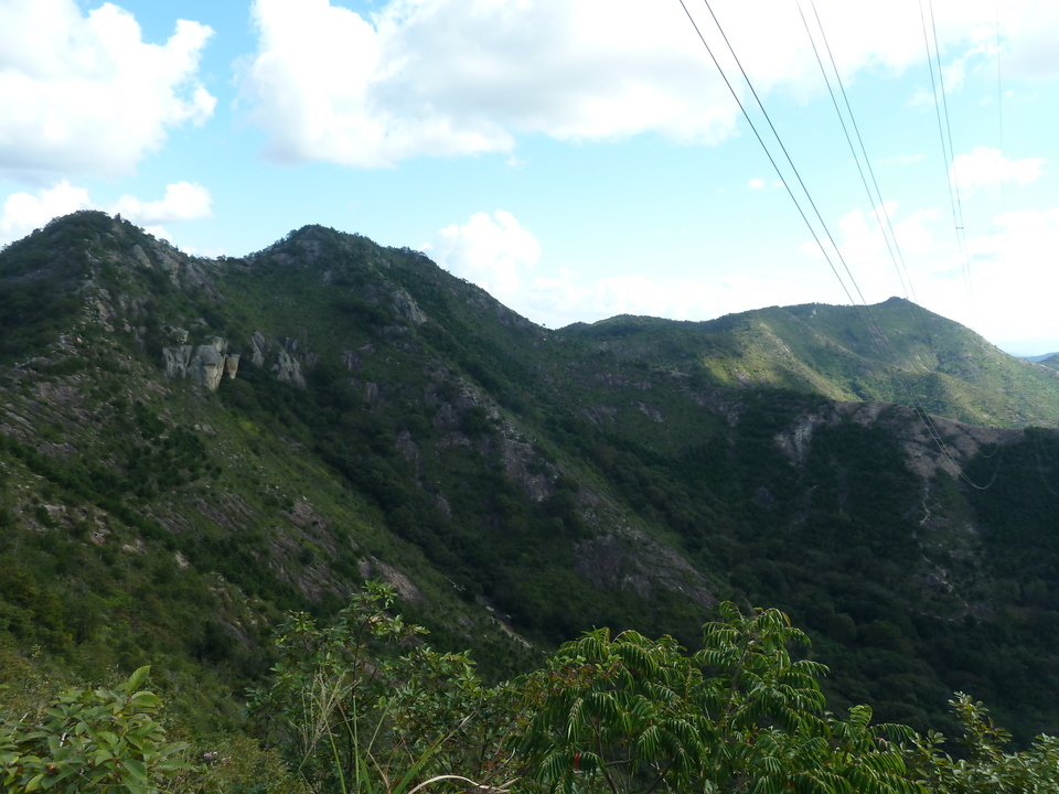 P1180089_mid.jpg