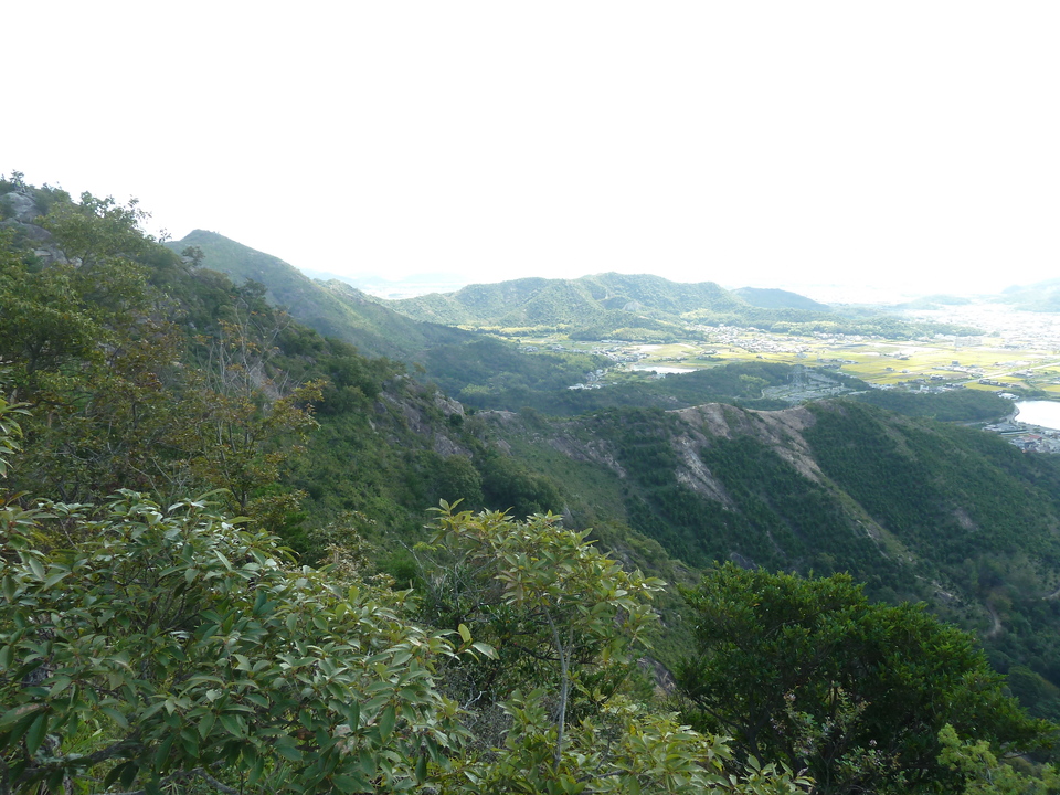 P1180105_mid.jpg