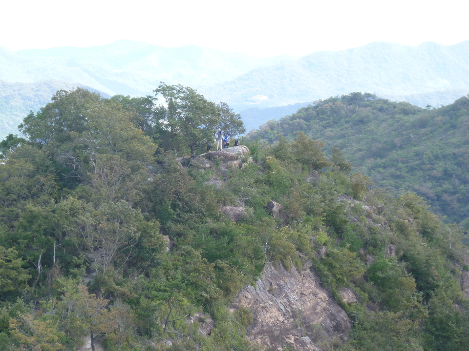 P1180121_mid.jpg