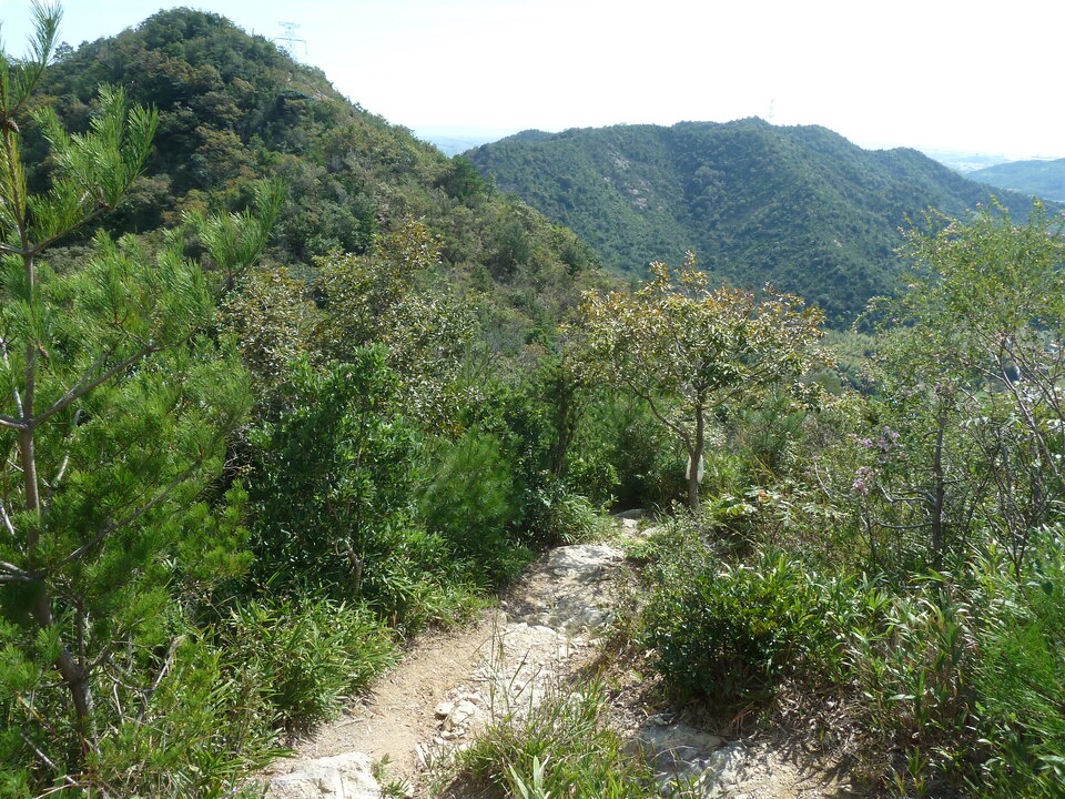 P1180213_mid.jpg