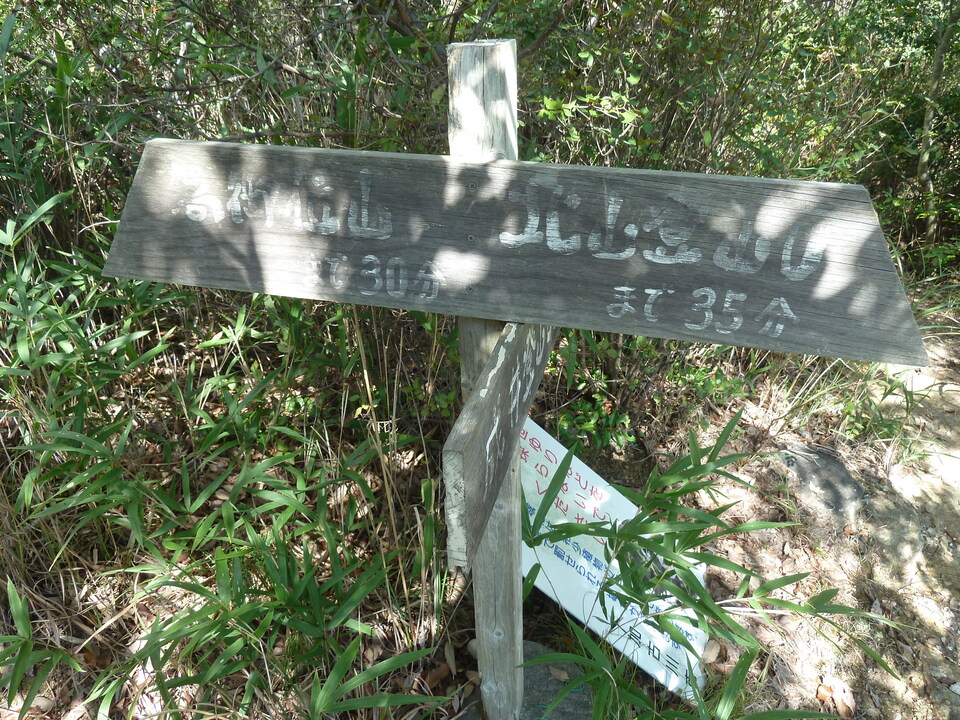 P1180223_mid.jpg