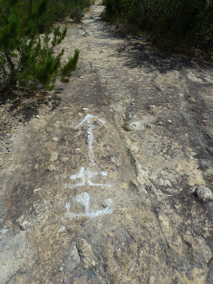 P1180227_mid.jpg
