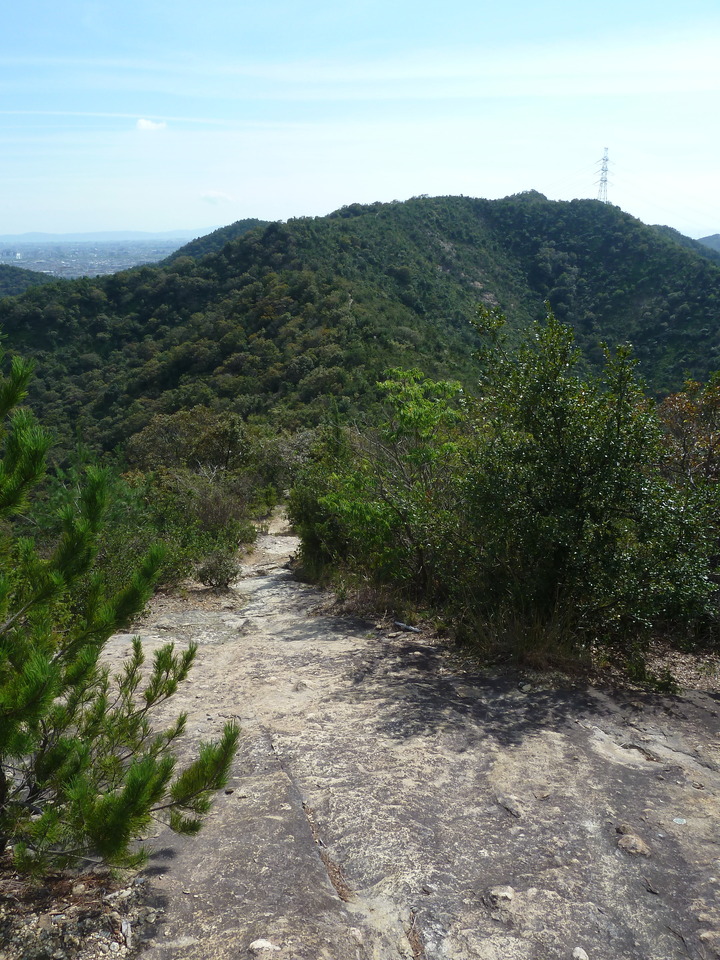 P1180228_mid.jpg