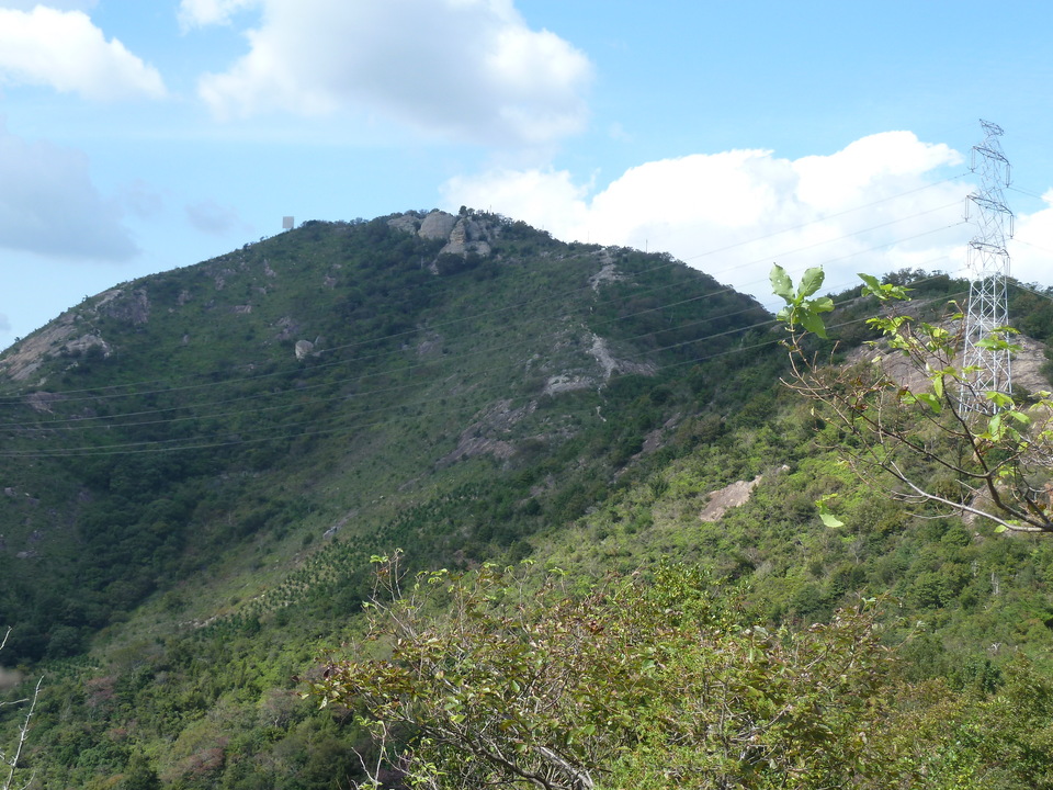 P1180236_mid.jpg