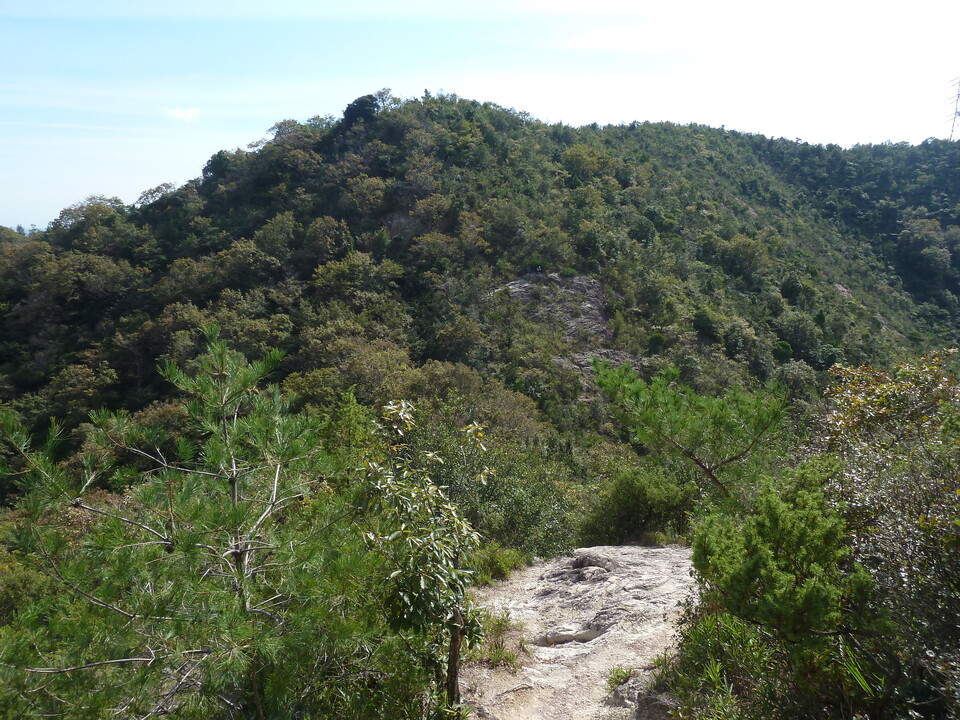 P1180237_mid.jpg