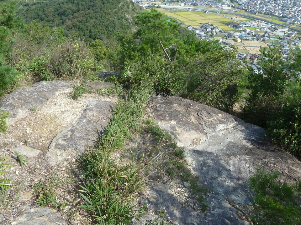 P1180253_mid.jpg