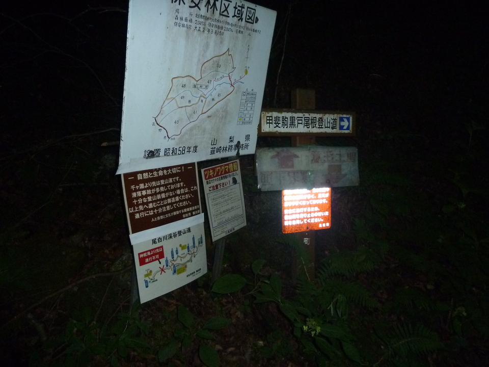 P1210834_mid.jpg