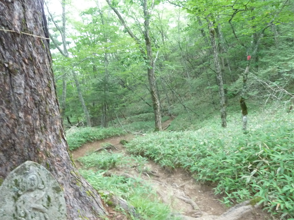 P1210875_mid.jpg