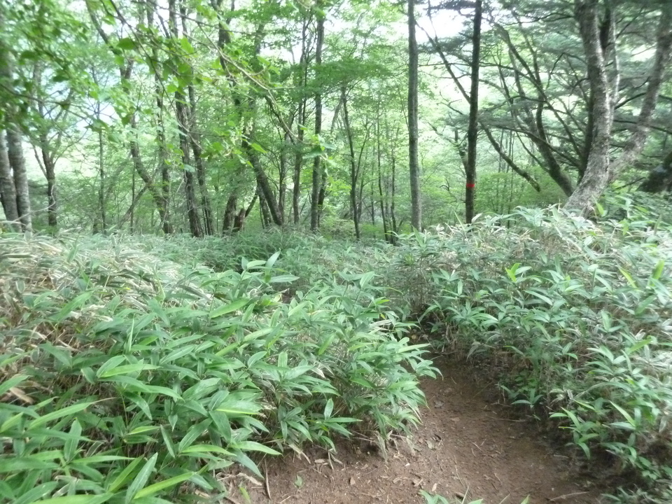 P1210884_mid.jpg