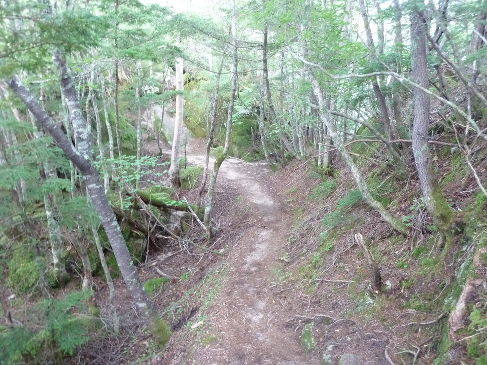 P1210920_mid.jpg