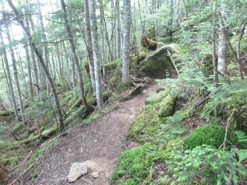 P1210983_mid.jpg