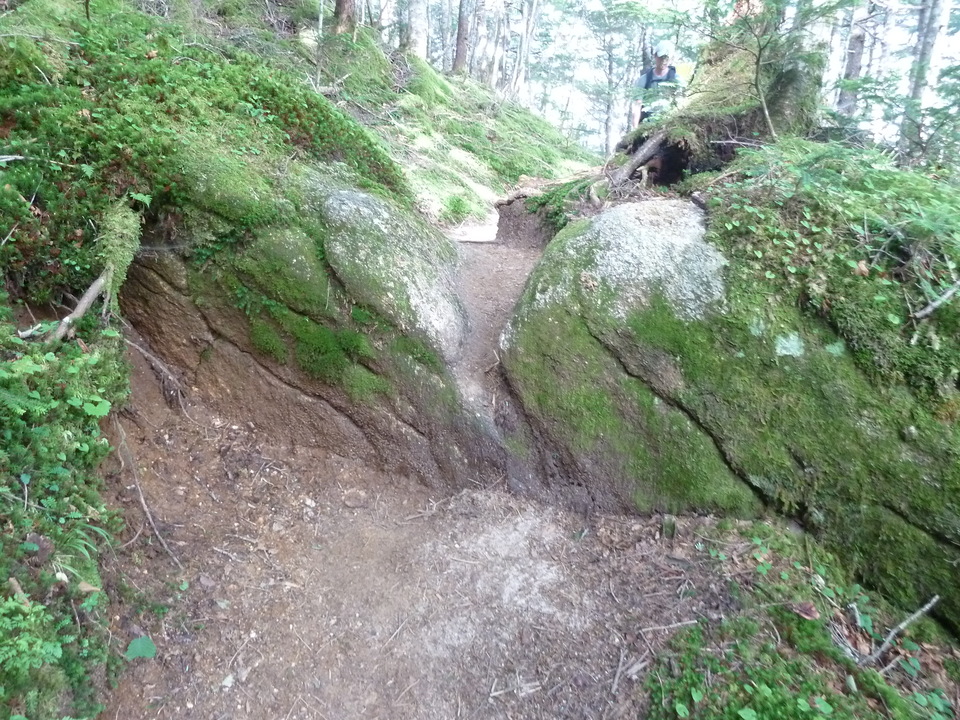 P1210992_mid.jpg